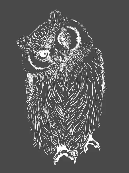 Hibou dessiné à la main, noir et blanc — Image vectorielle