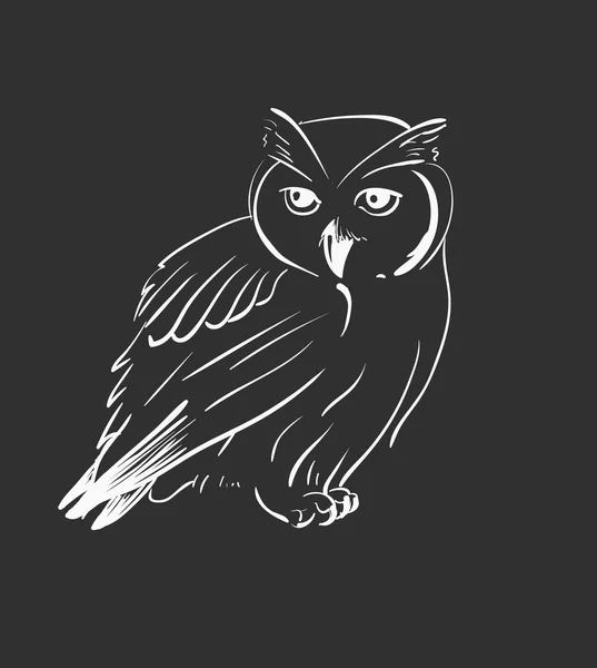 Owl hand drawn, black and white — Stock Vector