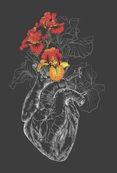 Dibujo Corazón humano con flores — Vector de stock