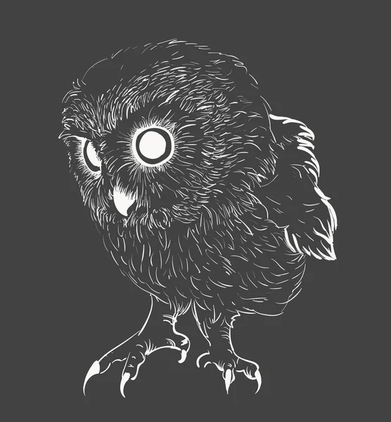 Hand drawn owl — Stock Vector