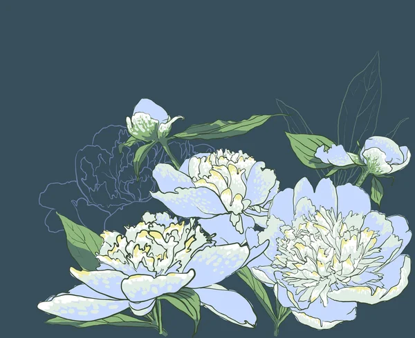 Fleurs pivoines dessinées à la main — Image vectorielle