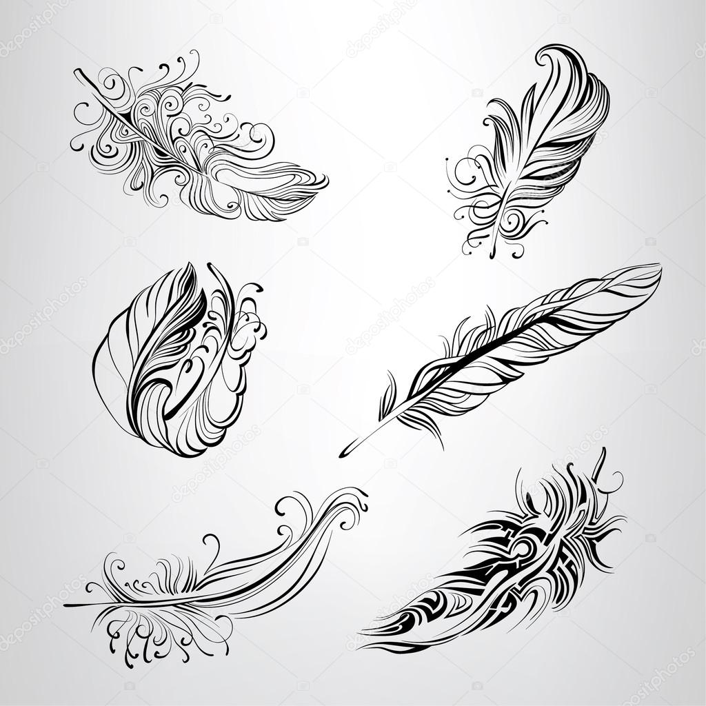 Set of feathers in an ornament