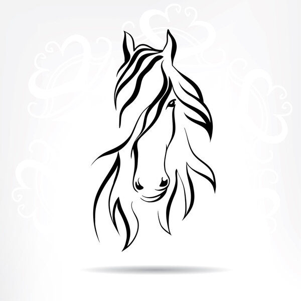 Horse head  on background