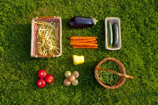 Legumes cultivados em casa recém-colhidos deitados na grama - top vie — Fotografia de Stock