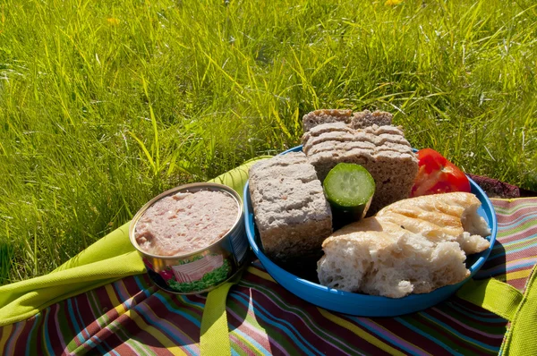 Picknick-Essen auf Gras — Stockfoto
