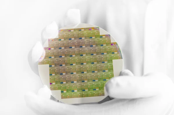 Engineer holding silicon wafer — Stock Photo, Image