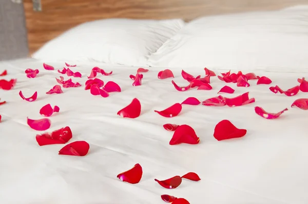 Pétalos de rosa sobre ropa de cama blanca — Foto de Stock