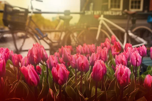 Tullips y bicicletas en la calle cerca de Canal, Amsterdam, Países Bajos — Foto de Stock