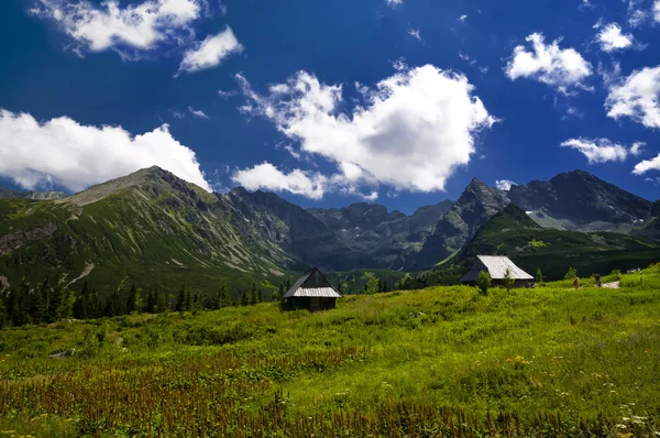 Breathtaking mountain landscape on sunny day — Stockfoto