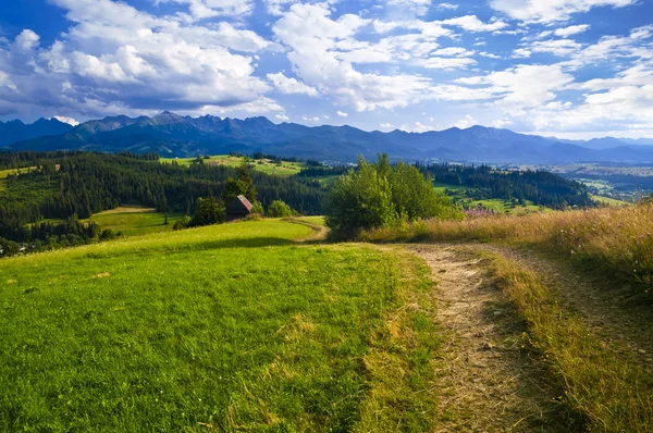 Sendero en un paisaje de montaña - senderismo en un día soleado —  Fotos de Stock