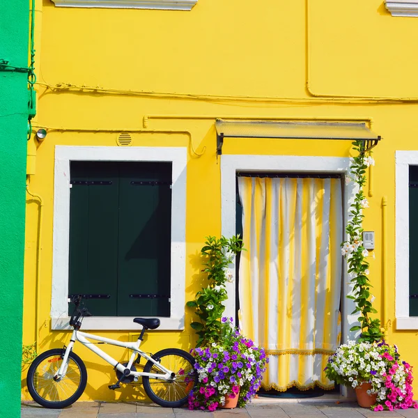 Färgglada hus i burano med en cykel stående bredvid en blomma Stockfoto