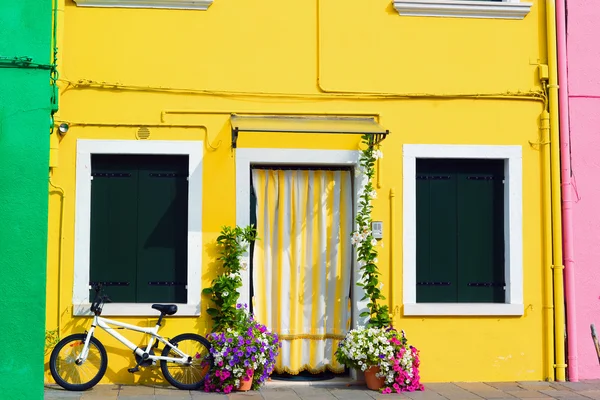 Färgglada hus i burano med en cykel stående bredvid en blomma Stockbild