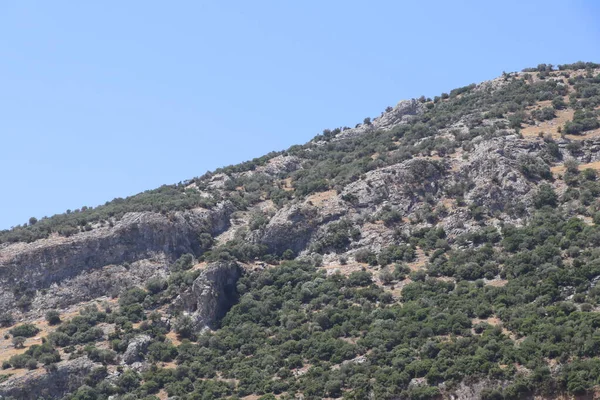 Türkiye Nin Efes Antik Kenti Civarındaki Dağ Yamaçları — Stok fotoğraf