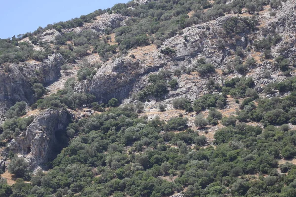 Türkiye Nin Efes Antik Kenti Civarındaki Dağ Yamaçları — Stok fotoğraf