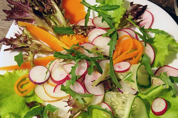 Radieschen, Karotten, Gurken, Salat, Rucola-Salat — Stockfoto