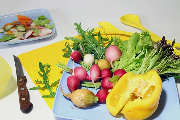 Gemüse für Salate: Rettich, Salat, Rucola, Paprika — Stockfoto