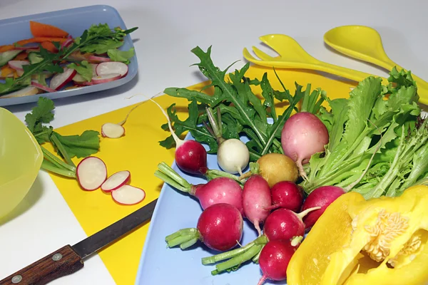 Gemüse für Salat: Rettich, Paprika — Stockfoto