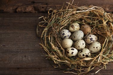 Bıldırcın yumurtası. Rustik tarzı