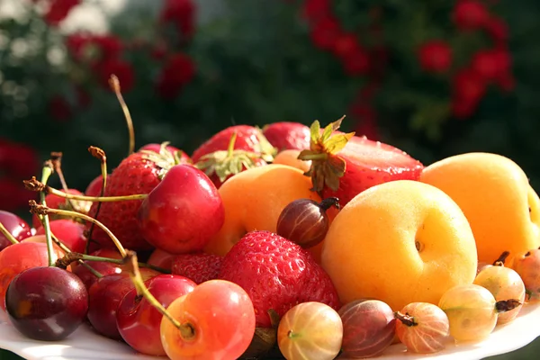 Frutas no prato branco — Fotografia de Stock