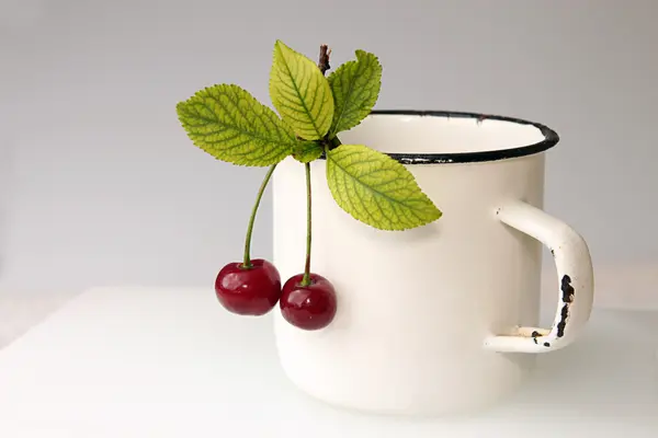 Dos cerezas con hojas colgando de una taza blanca — Foto de Stock