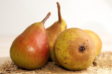 Kırsal bahçesinden Homegrown armut