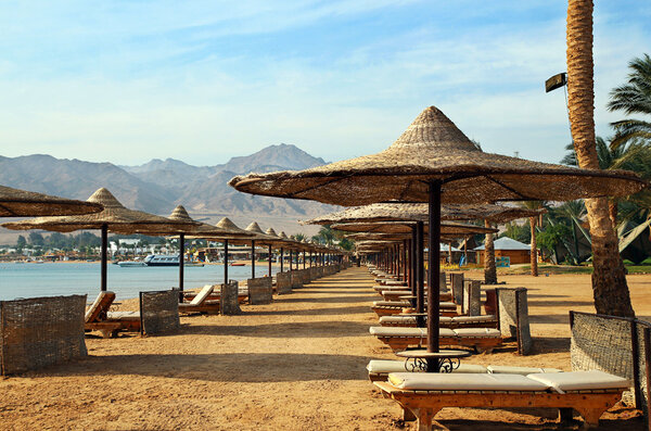 Sunshades on beach