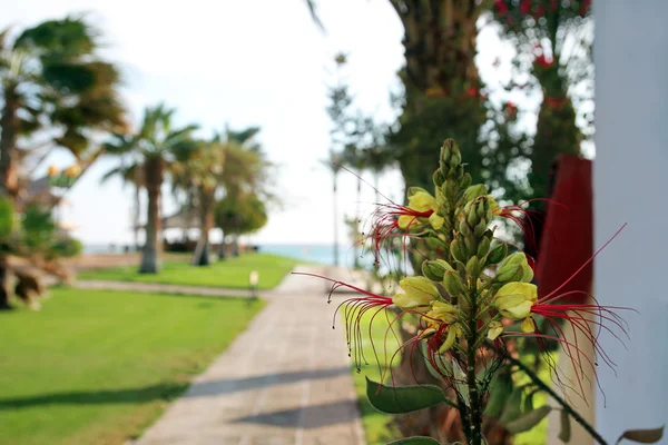 Hotel near sea — Stock Photo, Image