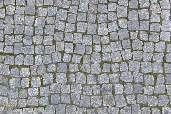 Rock stenen betegelde textuur met gras Stockfoto