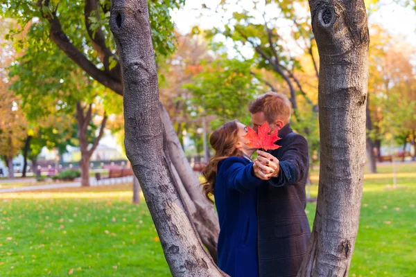 Pár csók a fának a közelében — Stock Fotó