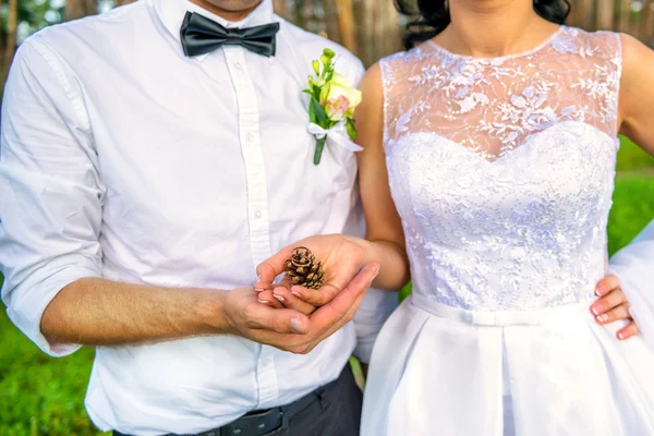 Noiva e noivo segurando cone com anéis — Fotografia de Stock