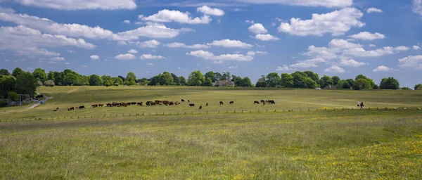 Panoramautsikt Över Byn Cotswold Nympsfield Gloucestershire England Storbritannien — Stockfoto