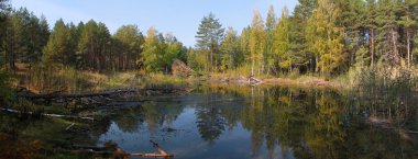 Sarı sonbahar ormandaki orman Gölü Panoraması