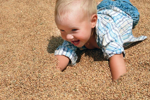 Joyful blond toddler lying on the wheat grains — Stock Photo, Image