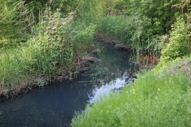Atık su bitki akan yağma ekoloji