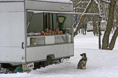 Aç köpek eti satan eski bir minibüsü seyir kışın. Pi