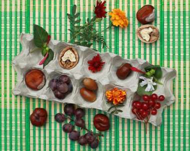 Parlak sonbahar hala hayatta bir kutu yumurta. İnci ile yürüyüş