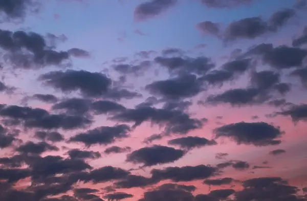 Blue and pink evening sky during a sunset cloud cover — Stock Photo, Image