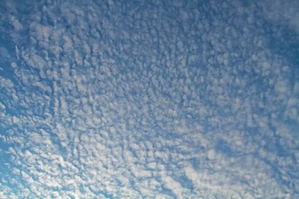 Op de blauwe hemel zweven een heleboel witte, pluizige wolken — Stockfoto