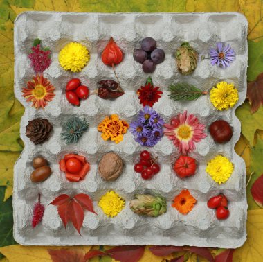 Büyük parlak sonbahar Still Life arka plan o kare bir kutu içinde