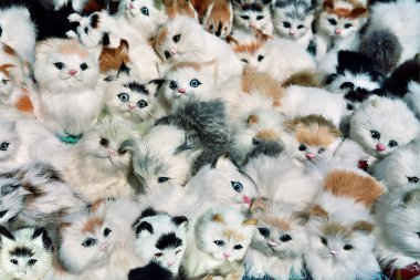 Birlikte bir yığın yalan birçok küçük oyuncak yavru kedi
