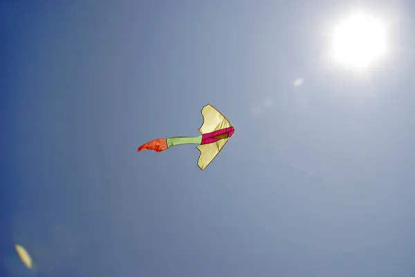 Vliegen naar de zon heldere lichte vlieger. U kunt het bereiken van uw doel - allemaal in uw handen. — Stockfoto