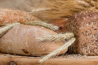 f ekmek tahıl bir kumaş arka plan kahverengi rengi ile.