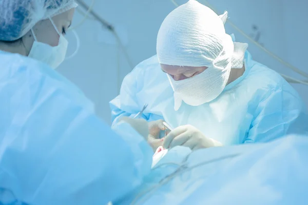 gerçek estetik burun şeklini değiştirmek için