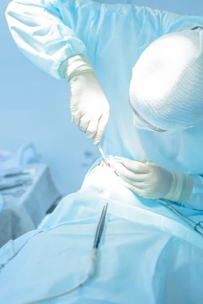 Echte plastische Chirurgie, um die Form der Nase zu verändern — Stockfoto