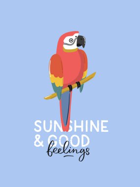 Çizgi film elementleri ve harika tipografisi olan güzel bir tropikal baskı. El çizimi vektör çizimleri ve harfler. Yaz süslemeleri, afişler, afişler, kartlar, çıkartmalar için mükemmel..