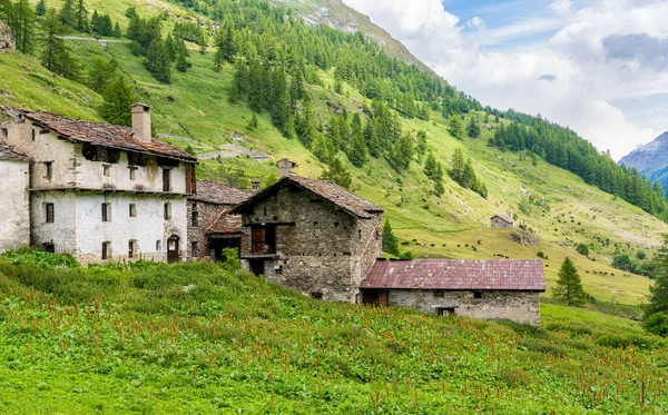 Vue Imprenable Matin Été Dans Belle Valgrisenche Vallée Aoste Italie — Photo