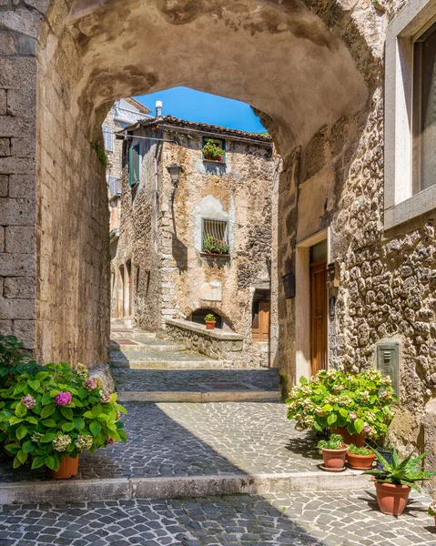 Vista Panoramica Guarcino Bellissimo Borgo Provincia Frosinone Lazio Italia Centrale — Foto Stock