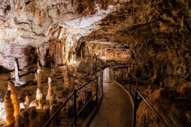 Muhteşem Postojna Mağarası, Slovenya 'nın ünlü turistik merkezi. Temmuz-21-2025