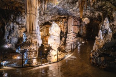 Muhteşem Postojna Mağarası, Slovenya 'nın ünlü turistik merkezi. Temmuz-21-2025