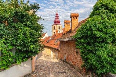Ptuj 'da manzara, Slovenya' nın Drava nehrinin güzel şehri, güneşli bir yaz öğleden sonrasında.